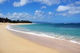 Hawaiian shore