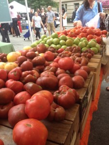 farm tomatoes